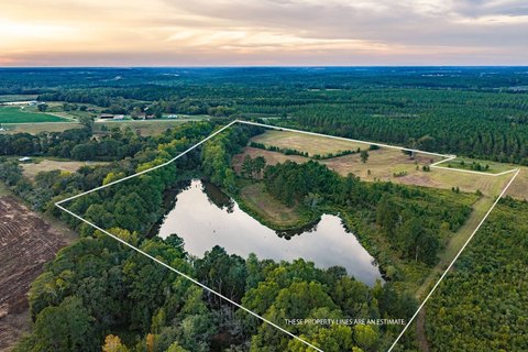 Land, Coffee Springs, AL