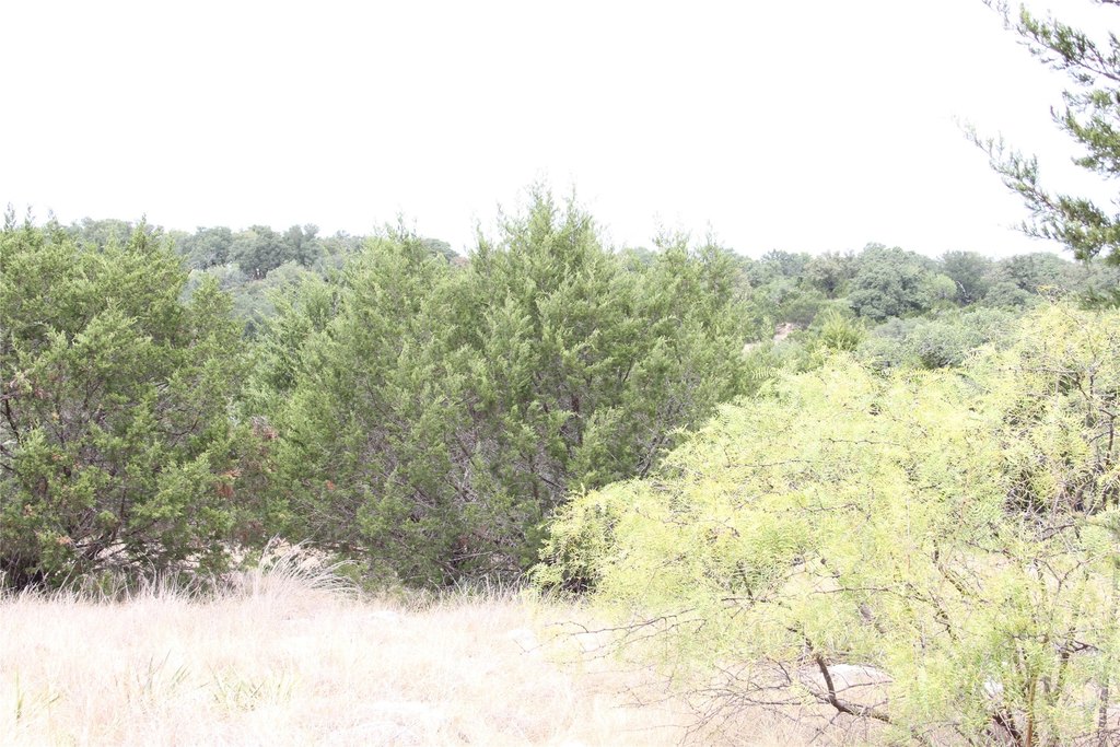 Picture 24