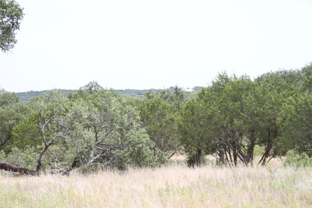 Picture 27