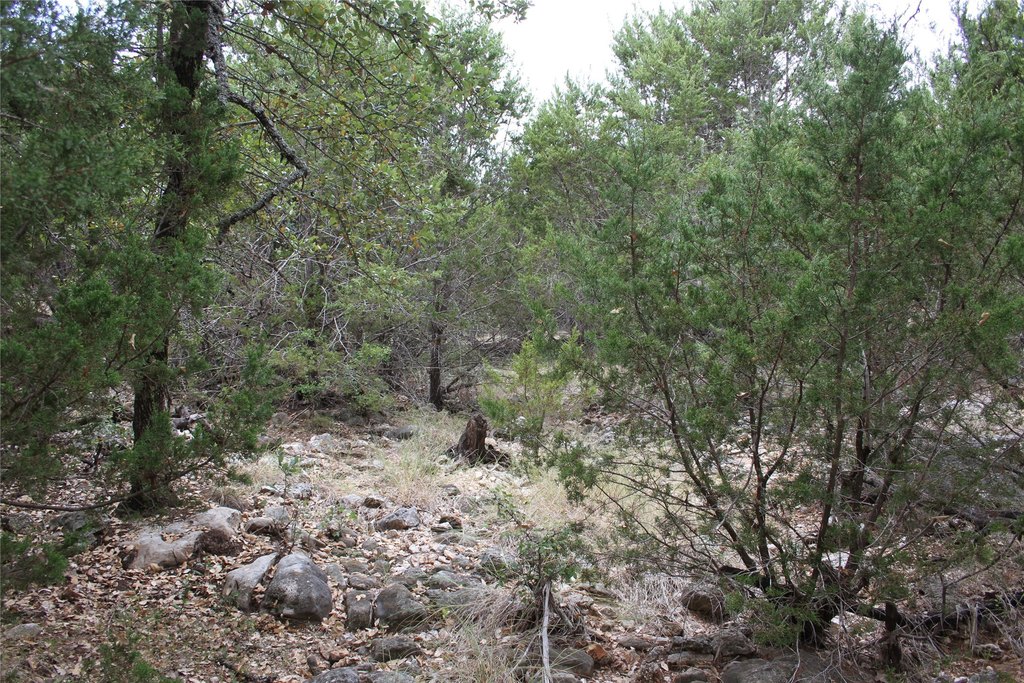 Picture 23