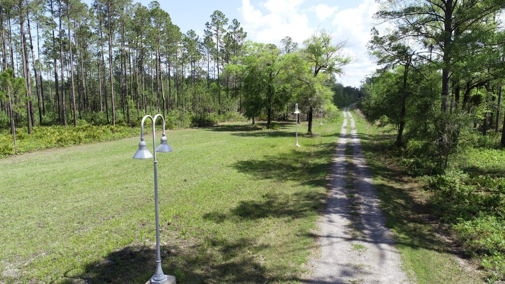 Picture 20