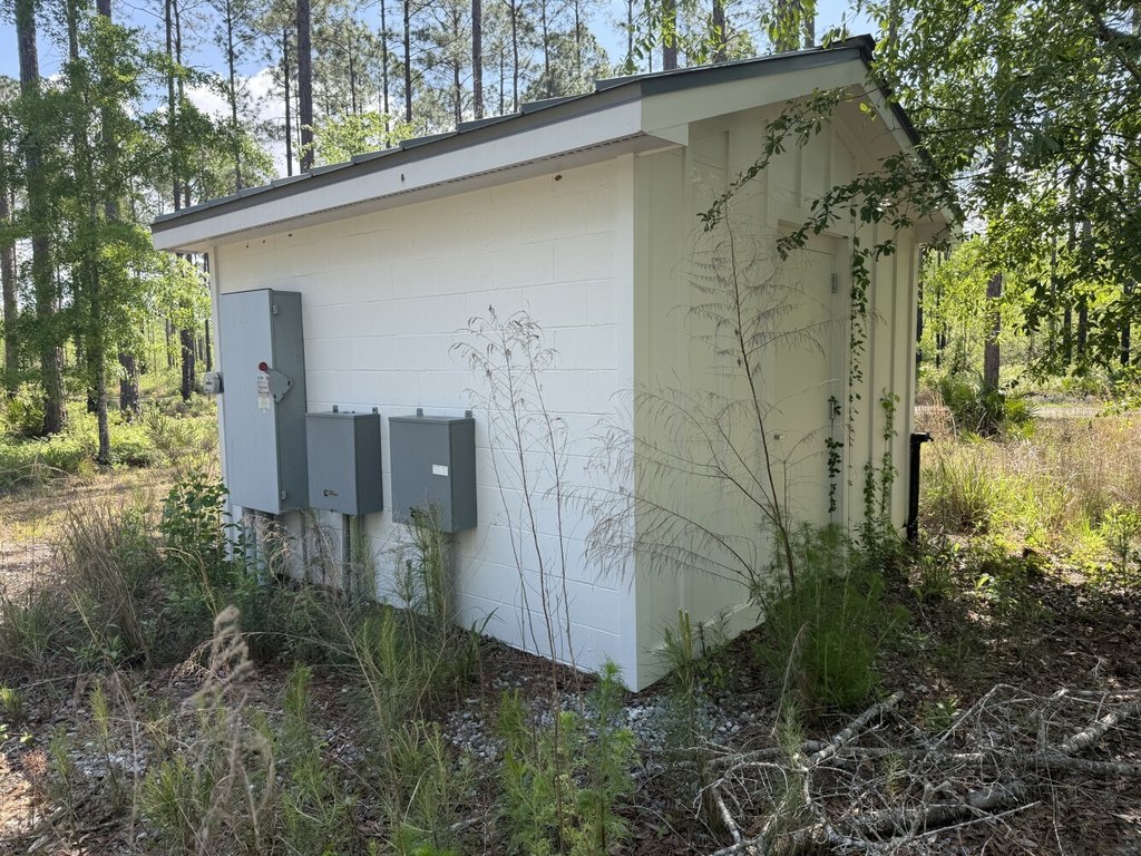 Picture 19