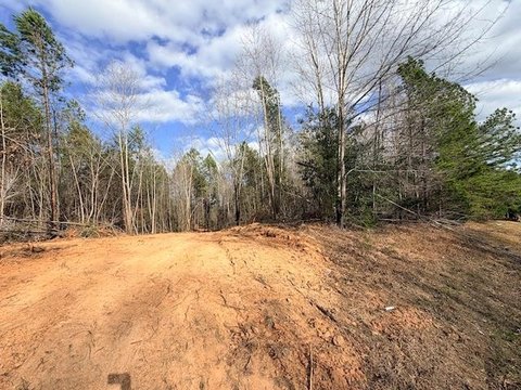 Large Building Lot Near South Hill