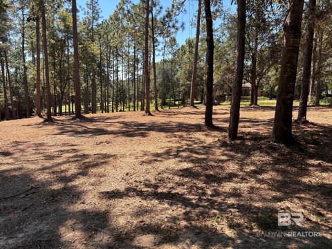 Land, Loxley, AL