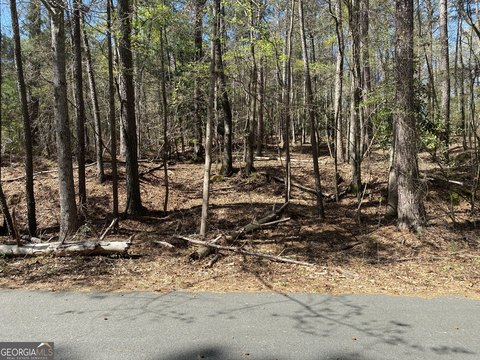 Residential Lot in Gray, GA