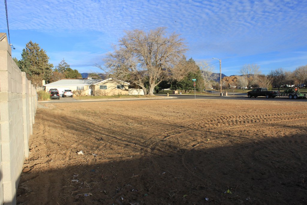 Picture 6