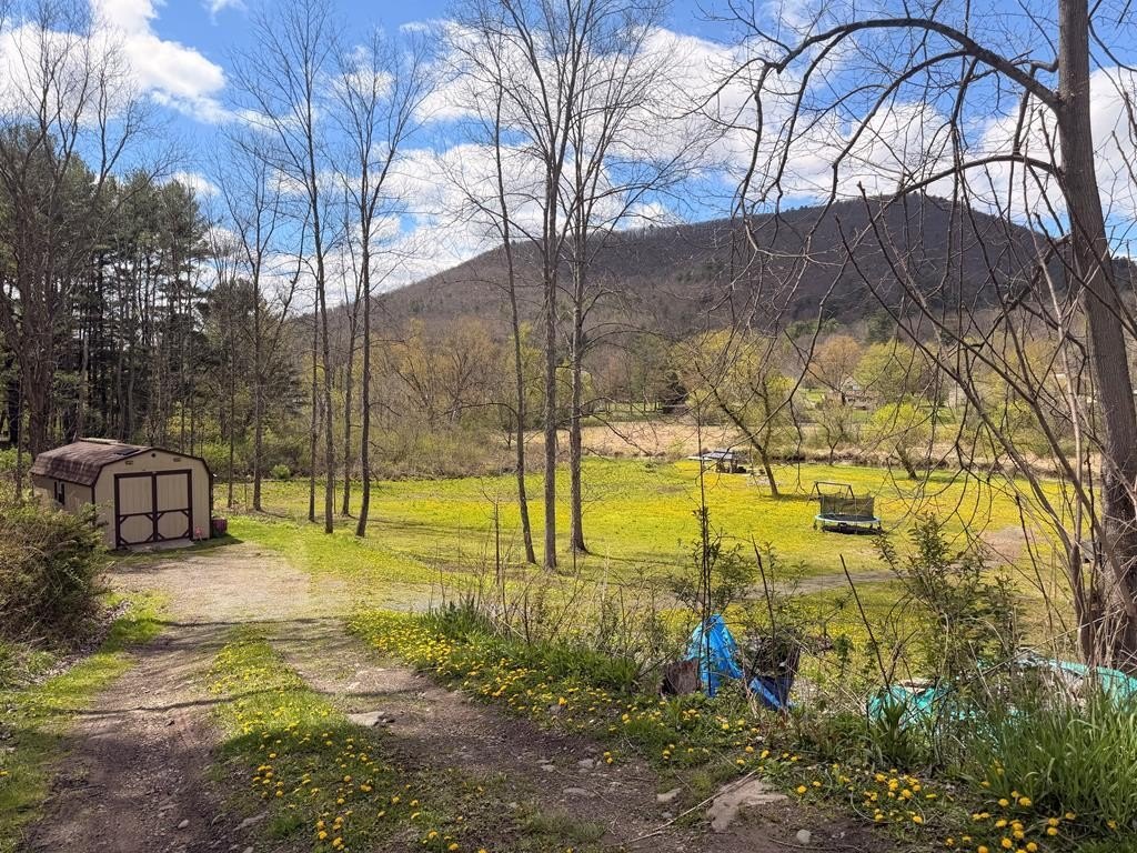 Land with Creek Frontage