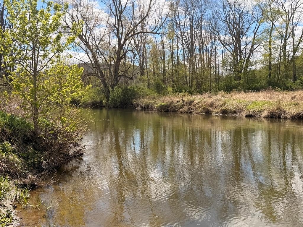 Picture 19