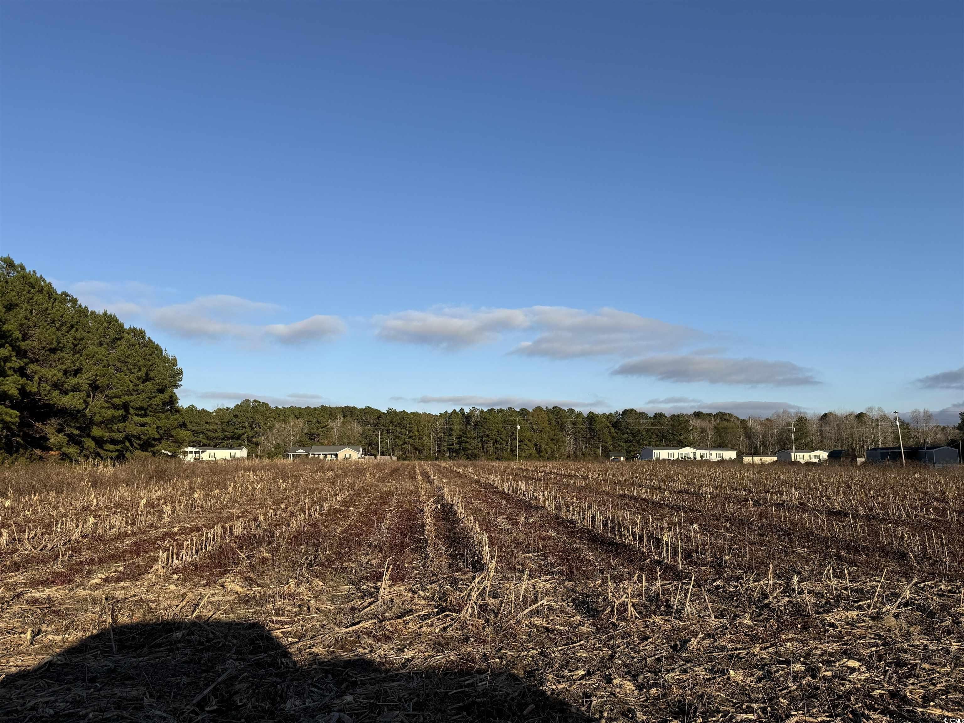 Kingstree Land Parcel For Sale