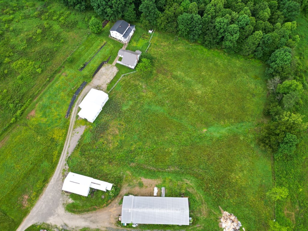 Picture 6