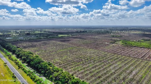 Fellsmere Land Near Stick Marsh