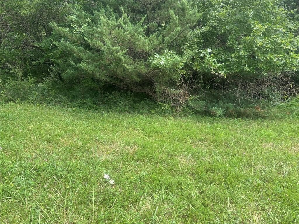 Picture 3