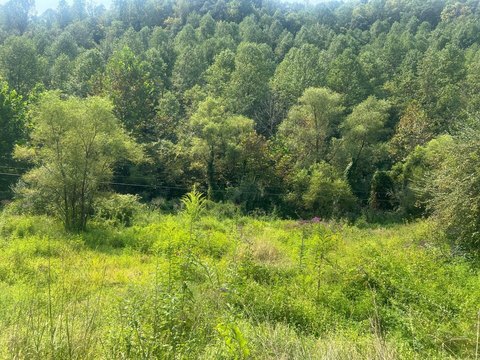 Prestonsburg, KY Land Opportunity
