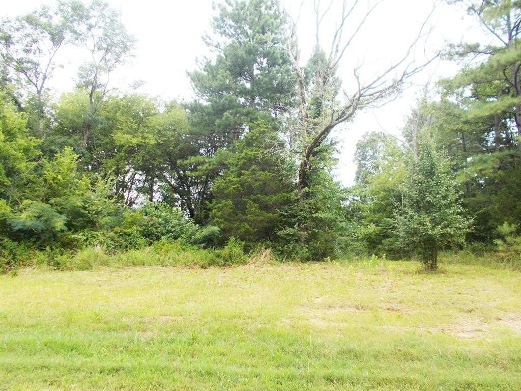 86 Acres of Country Land