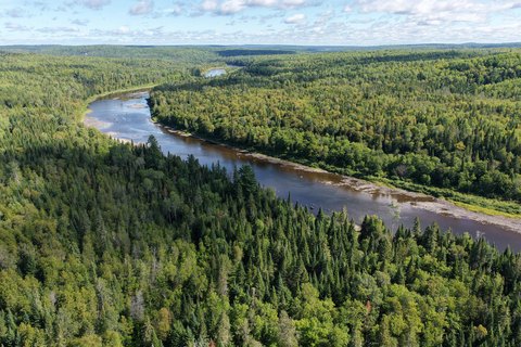 Waterfront Land with River Frontage