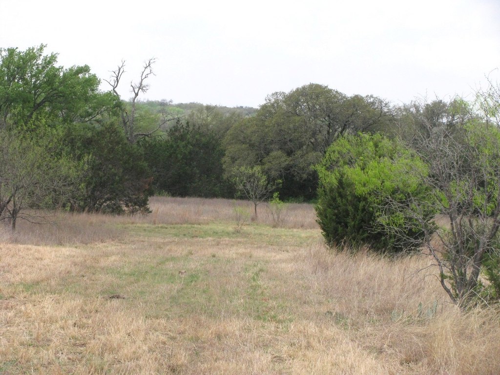 Picture 18