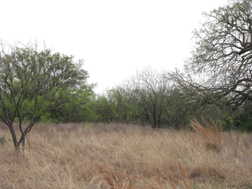 Picture 24