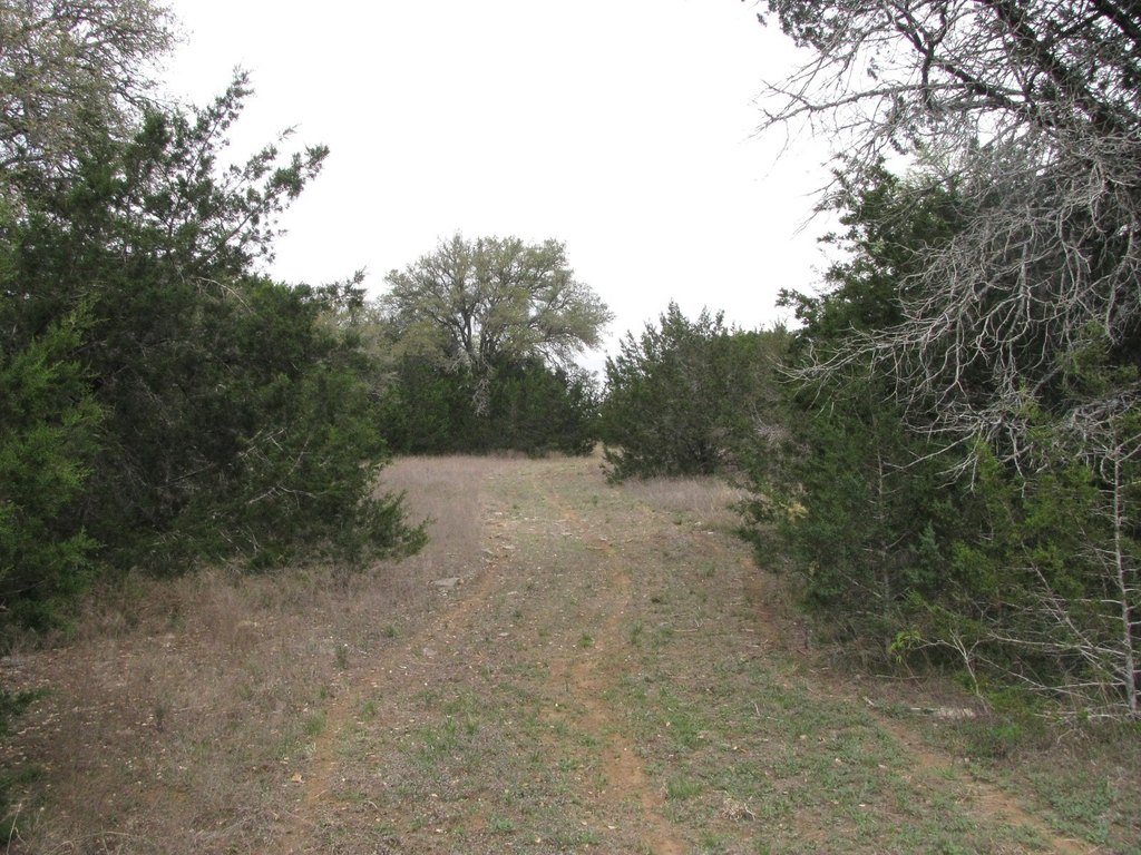 Picture 33