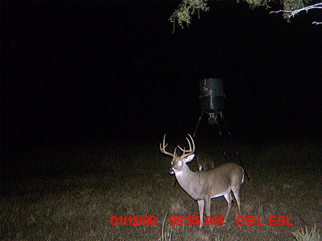 Picture 27
