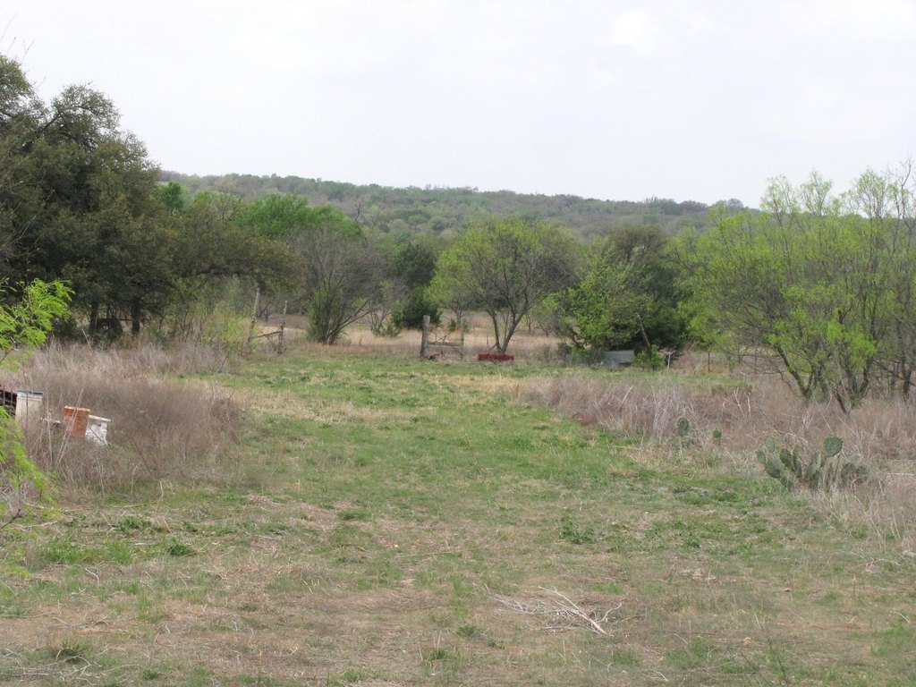 Picture 15