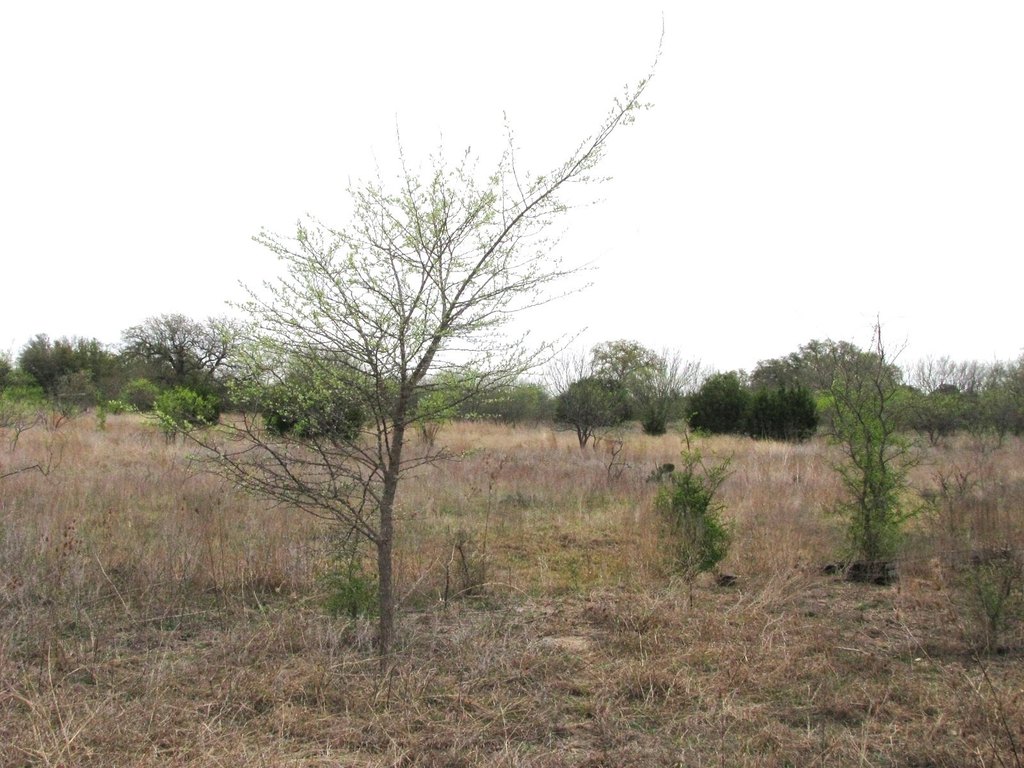 Picture 26