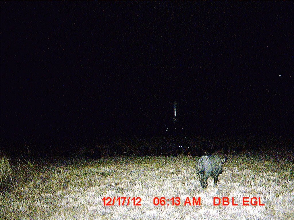 Picture 28