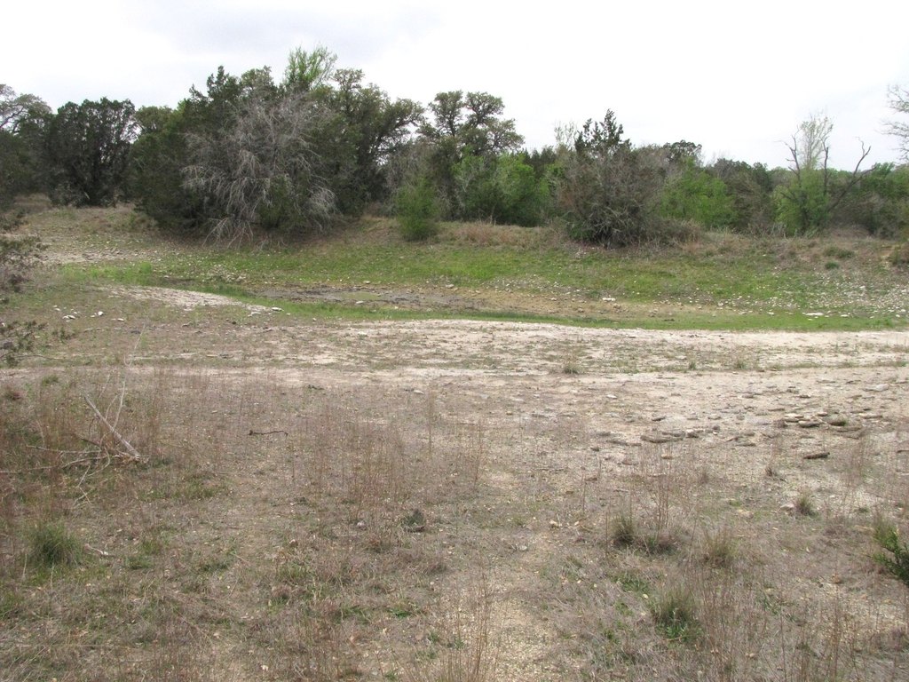 Picture 21