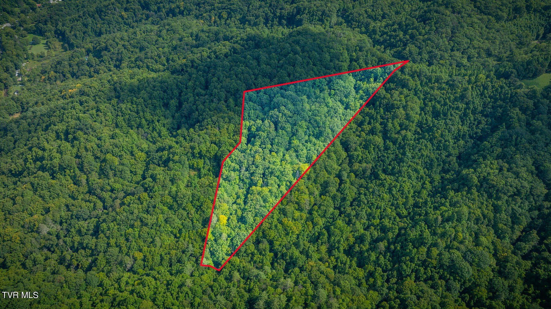Hampton, TN Wooded Land