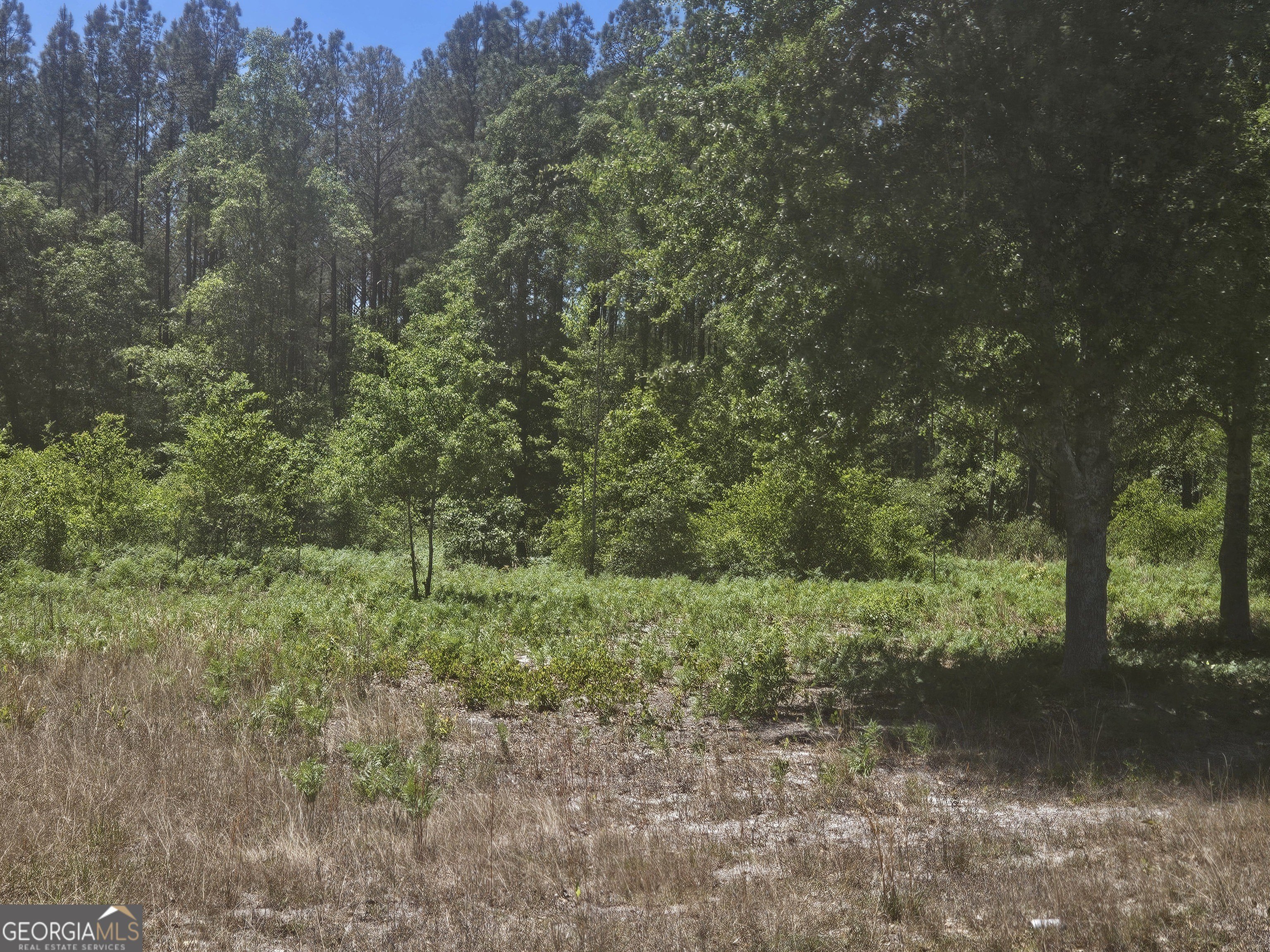 4.29 Acres in Jenkins County