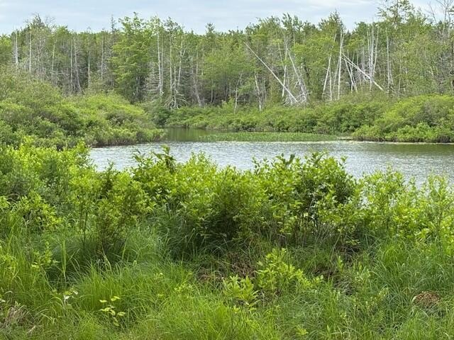 Scenic Waterfront Land in Cooper