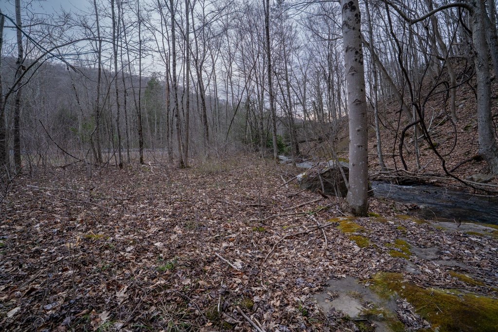 Picture 49