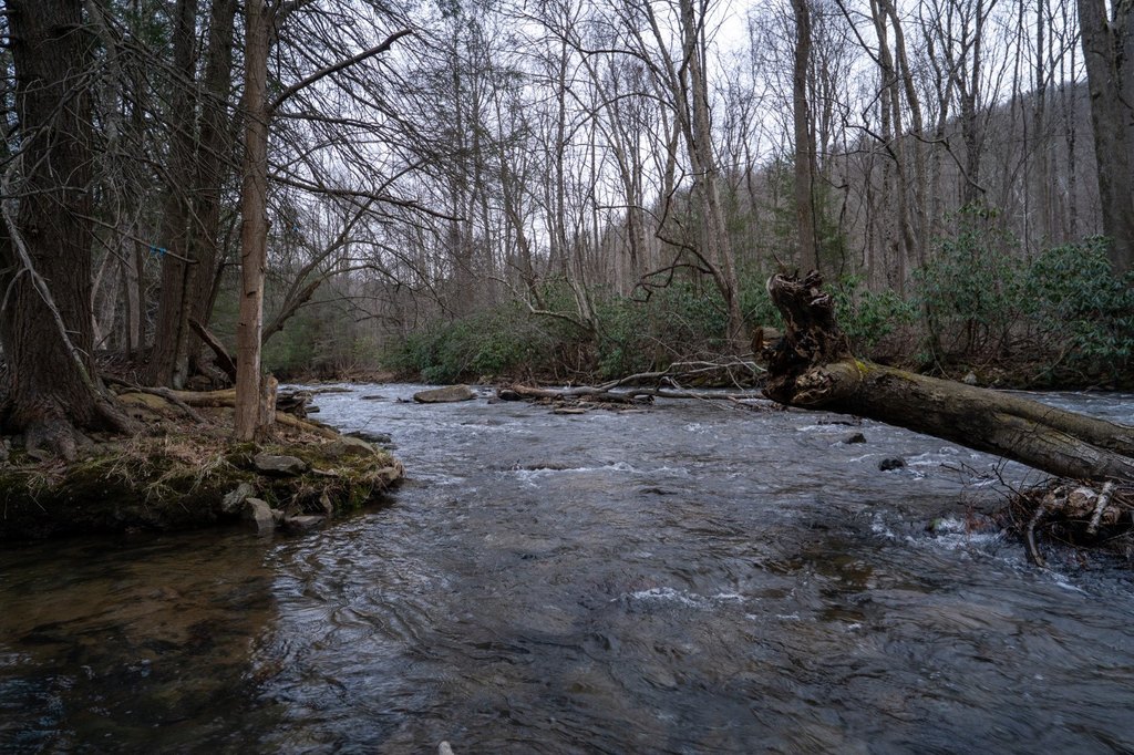 Picture 43