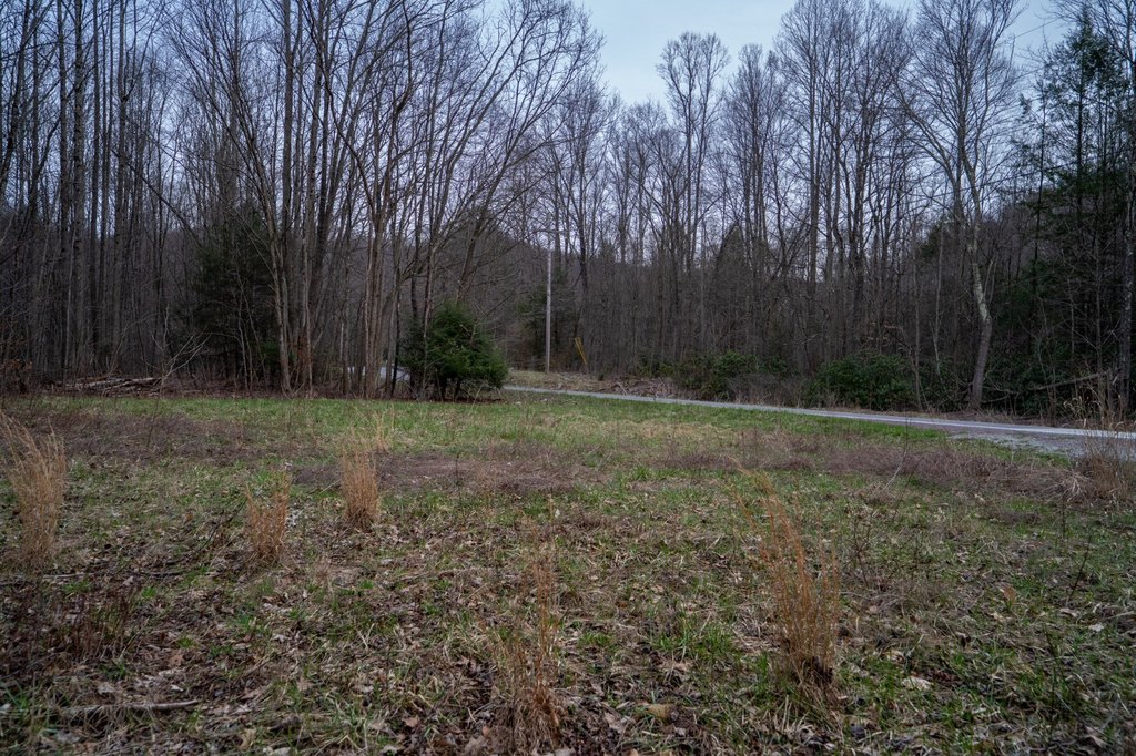 Picture 47