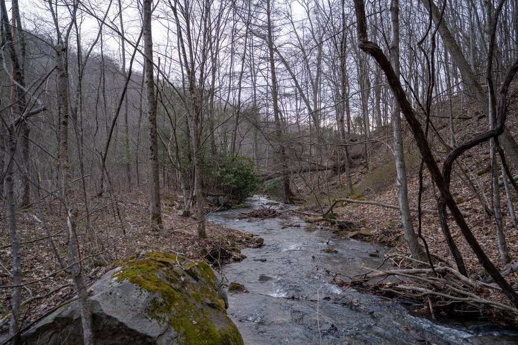 Picture 48