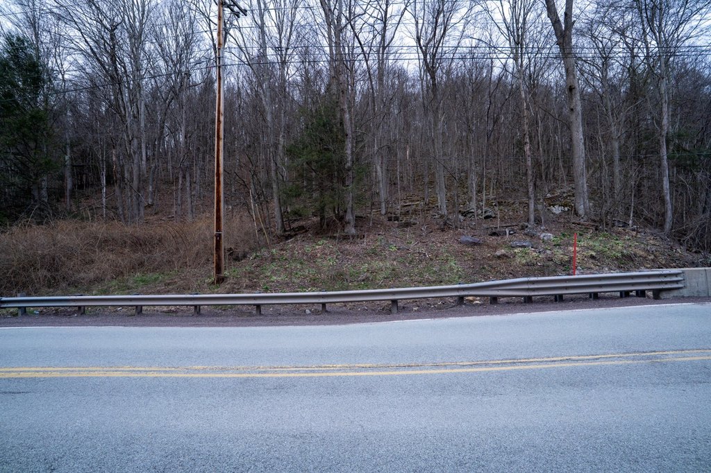 Picture 45