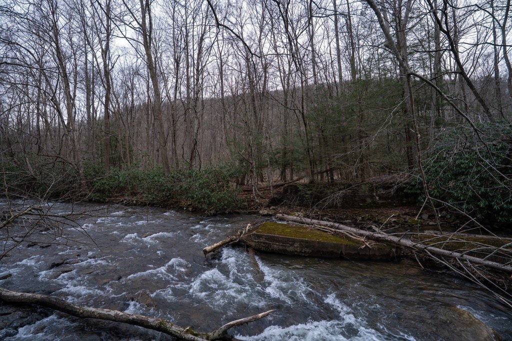 Picture 41