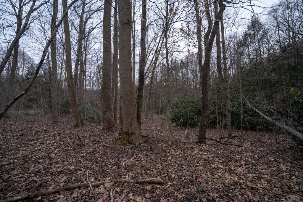 Picture 28