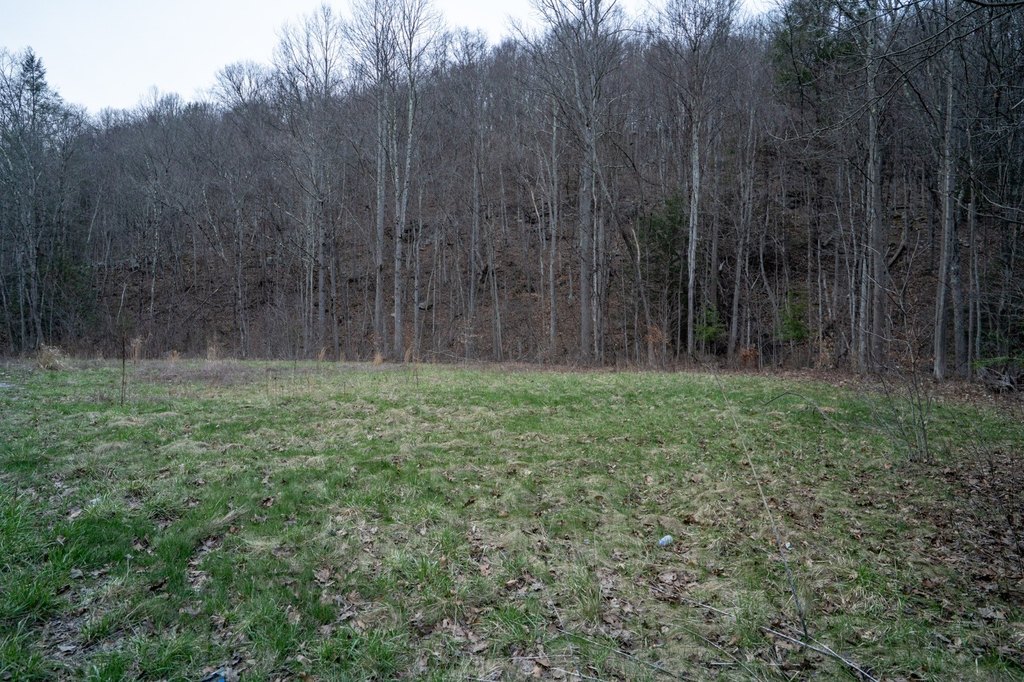 Picture 21