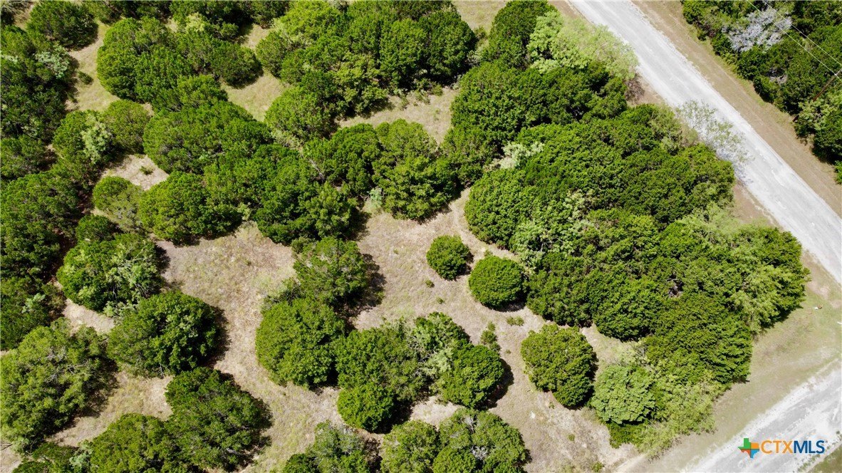 Corner Lot in White Bluff Resort