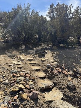 Land in St. Johns, AZ