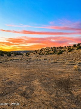 Land in St. Johns, AZ