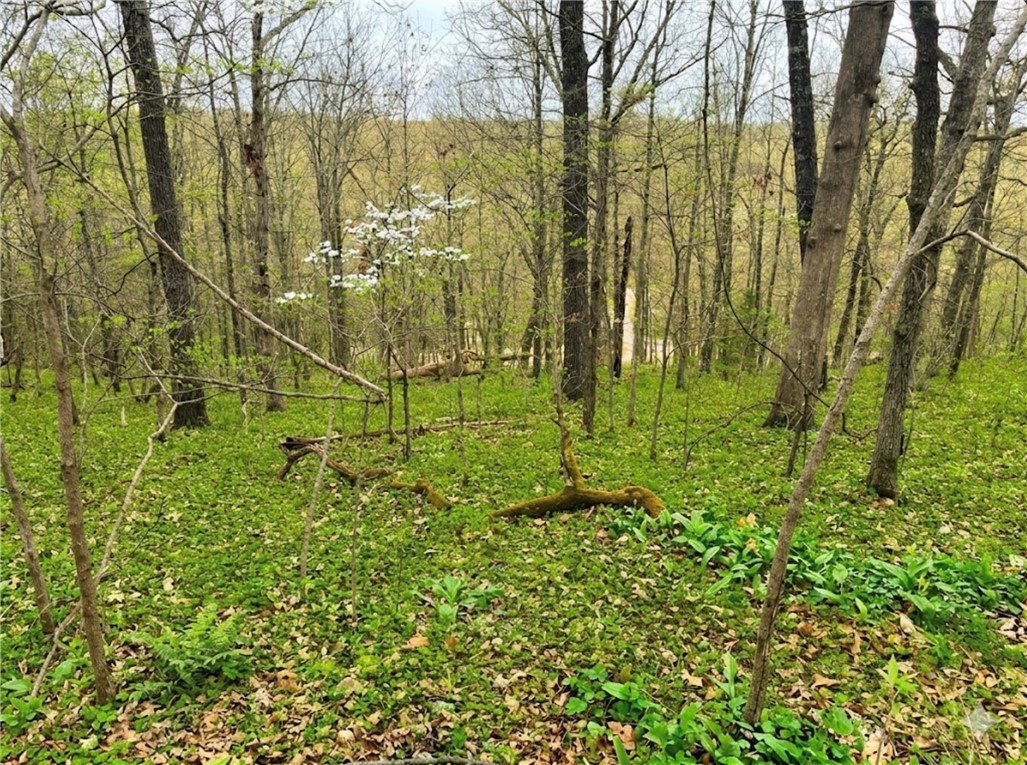 Premier Bella Vista Build Opportunity