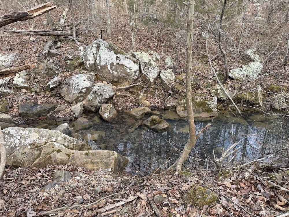 Picture 50