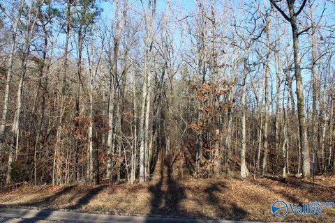 Land, Centre, AL