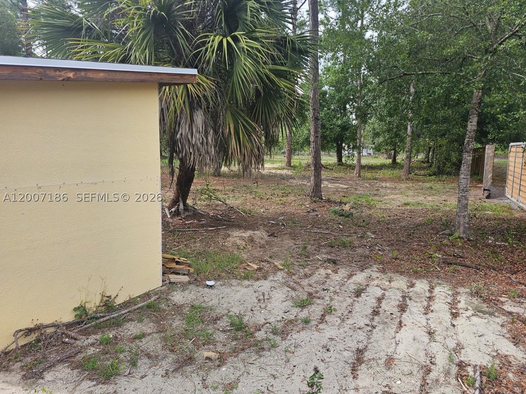 Picture 11