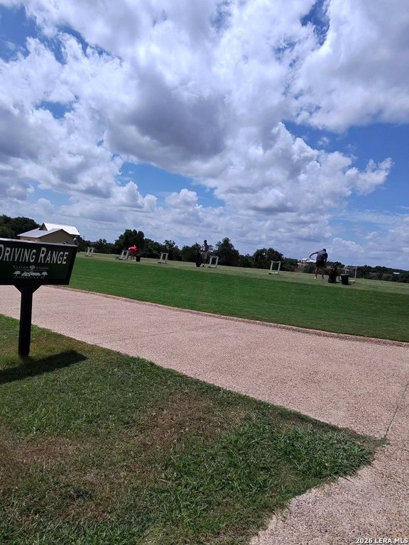 Picture 24