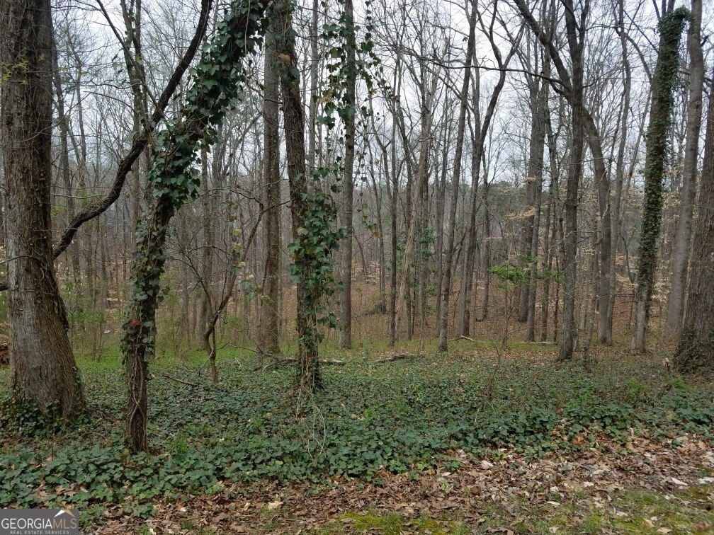 Picture 2