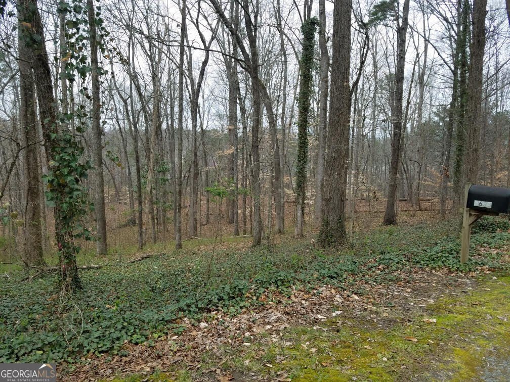 Picture 3