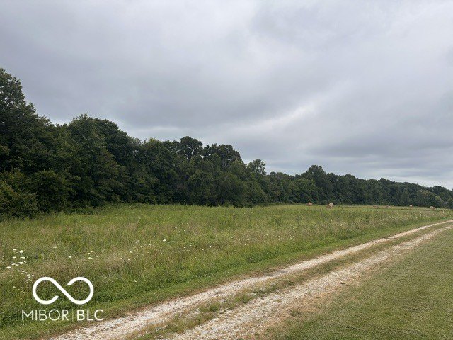 Picture 3