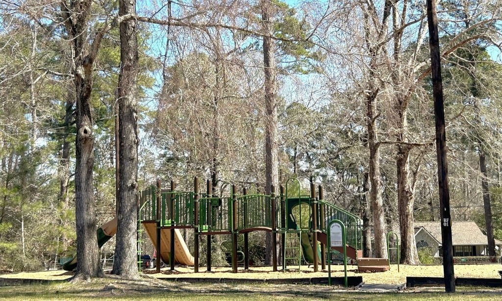 Picture 11